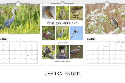 Jaarkalender 2024